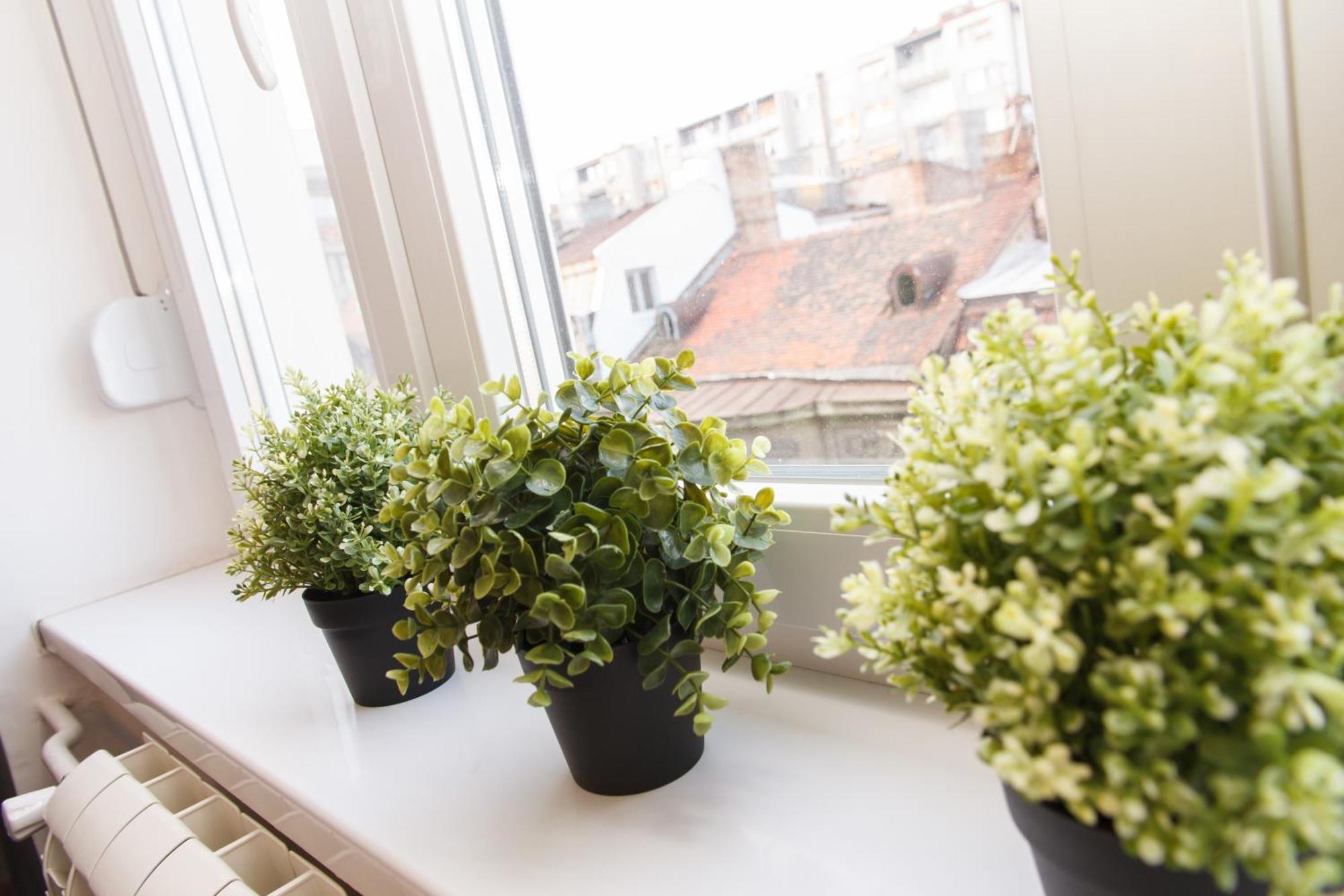 City Break Apartments - City Zen Belgrad Exterior foto